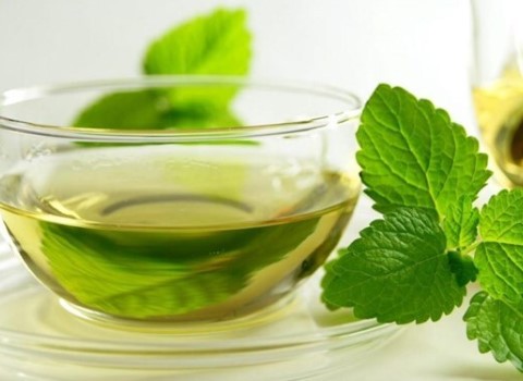 تصویر 2 از قیمت خرید عرق نعنا ارگانیک + فروش ویژه